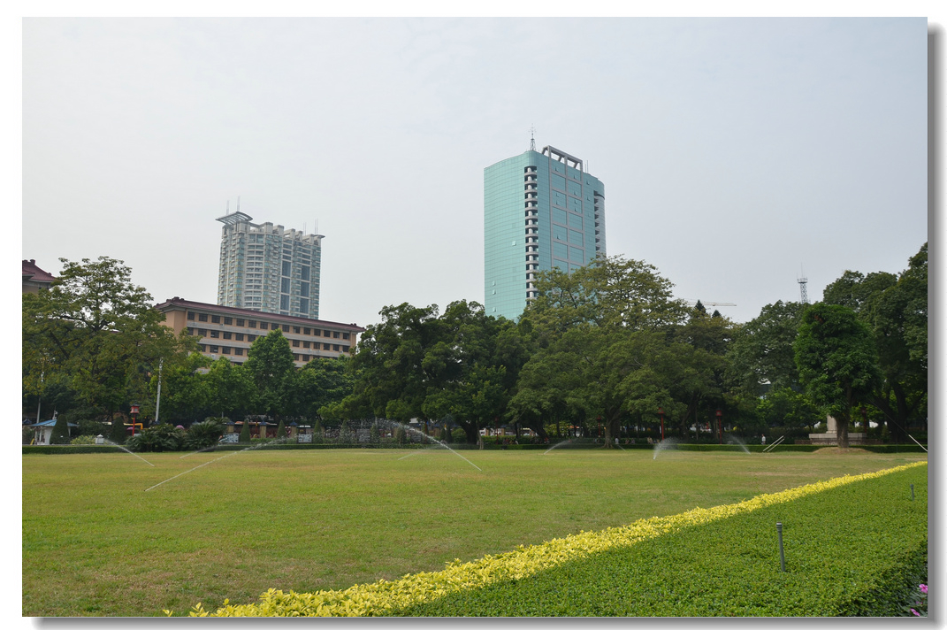 DSC_3165.jpg