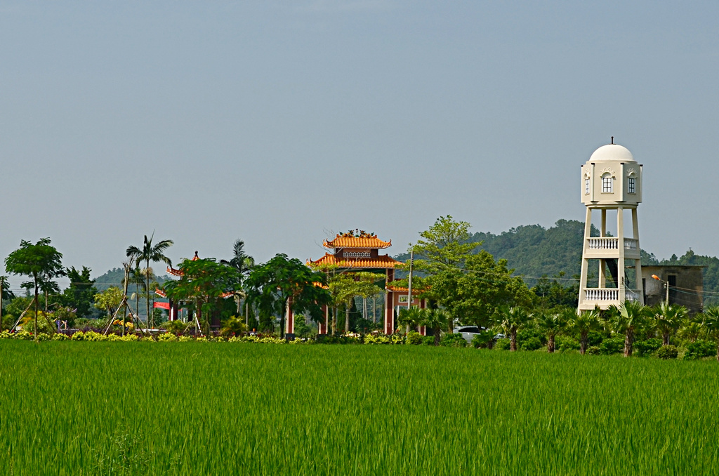 DSC_2647.jpg
