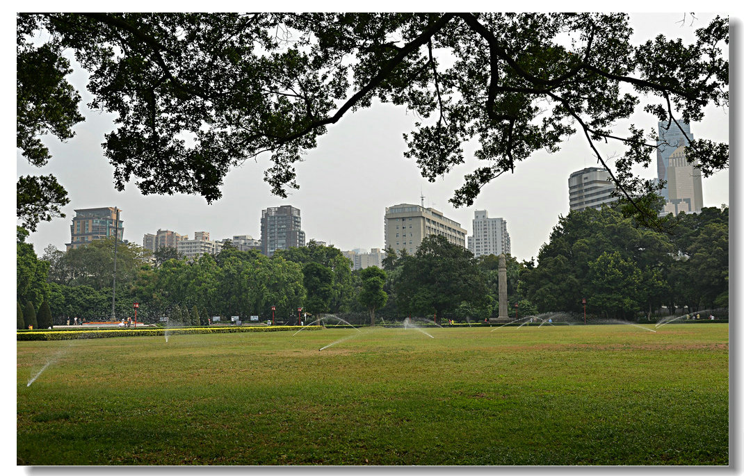 DSC_3152.jpg