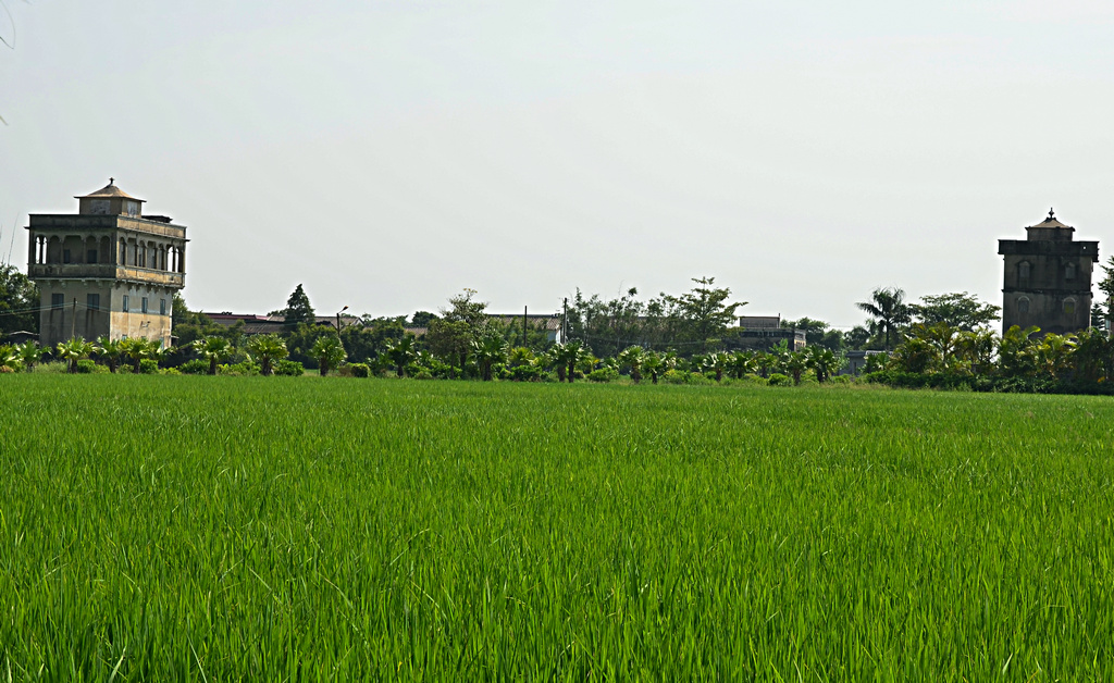 DSC_2627.jpg