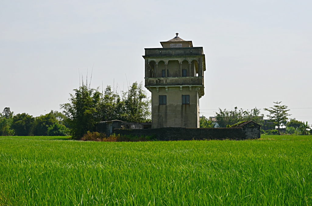 DSC_2643.jpg