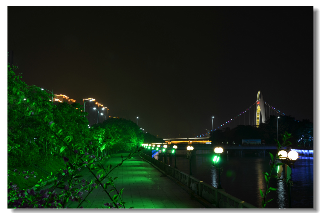 DSC_2962.jpg