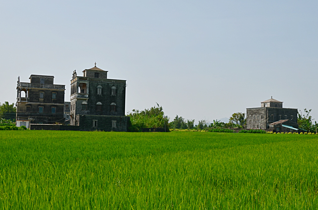 DSC_2648.jpg