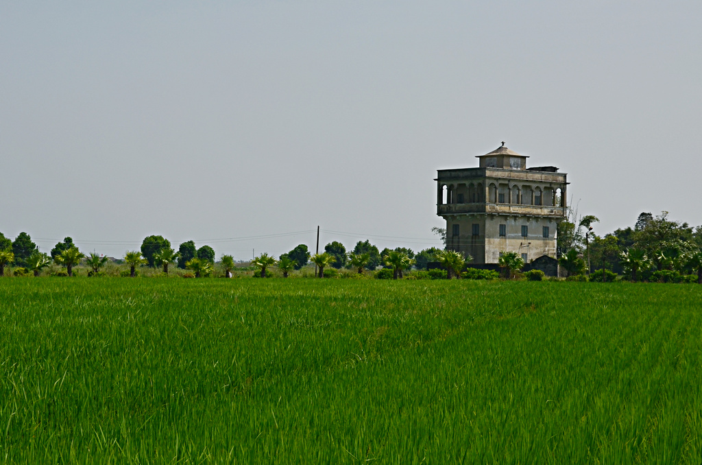 DSC_2614.jpg