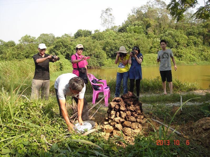 DSC04391.jpg