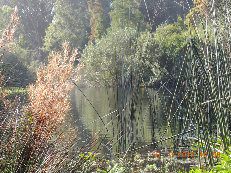 Golden gate park 012_.jpg