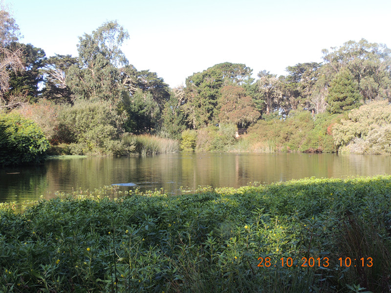 Golden gate park 027_.jpg