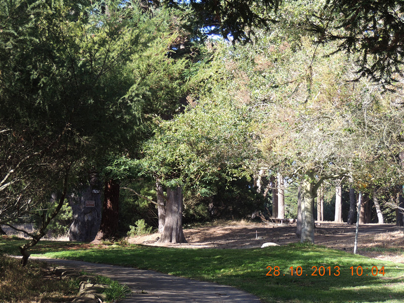 Golden gate park 004_.jpg