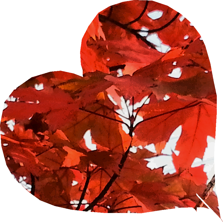 2013-10-15 22.35.28.png