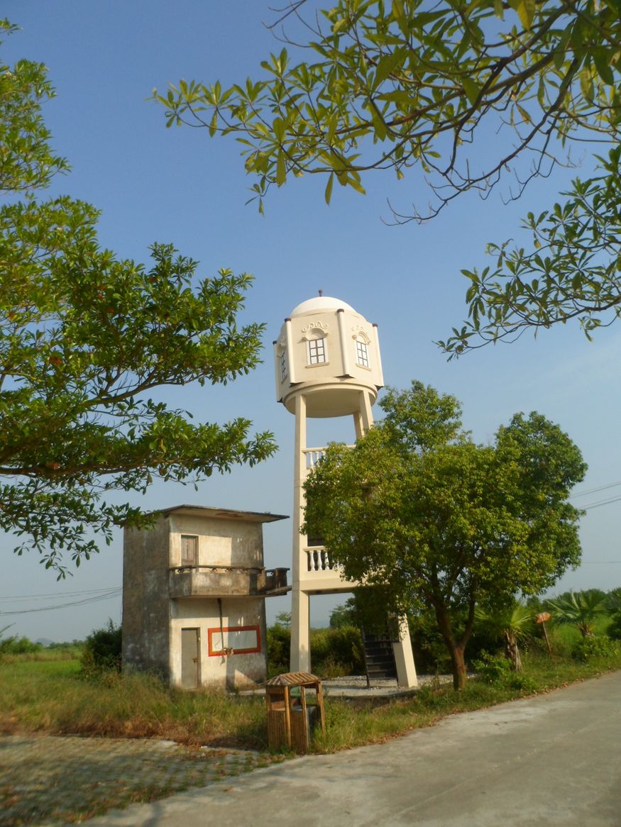 SAM_6337_ת_.jpg