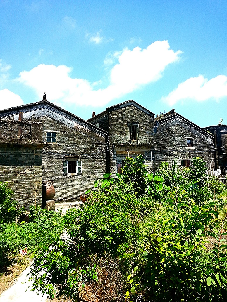 IMG_20130805_024438.jpg