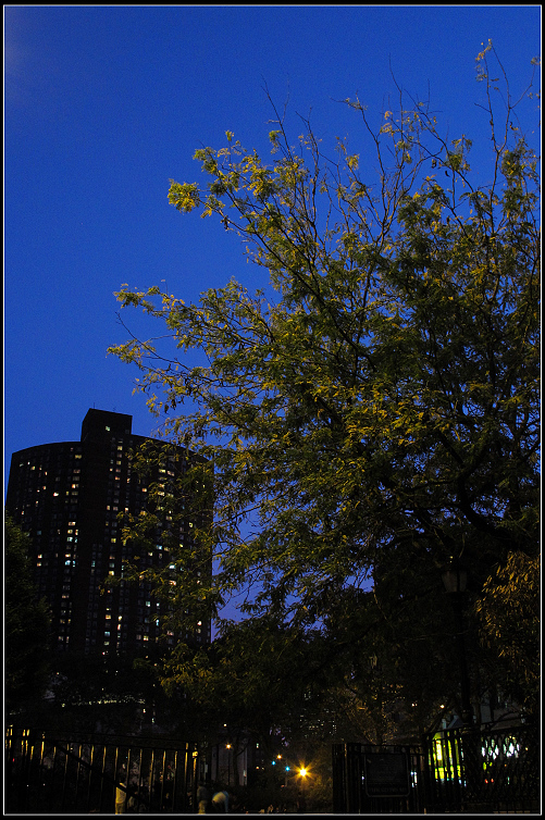IMG_7773.JPG