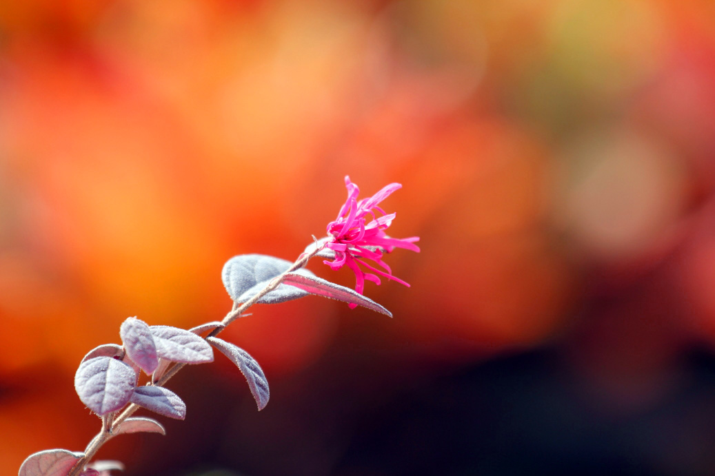 _MG_83512013-10-20.JPG