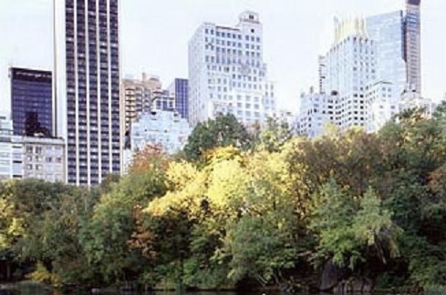 075_07.jpg