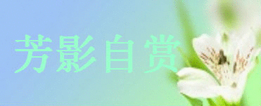 output_Qc4sCD.gif