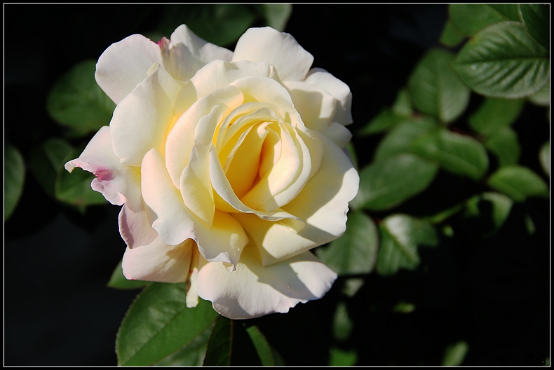 IMG_8406-6.jpg