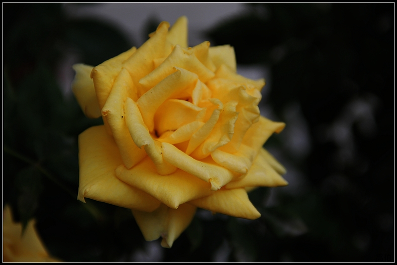 IMG_8560-0.jpg