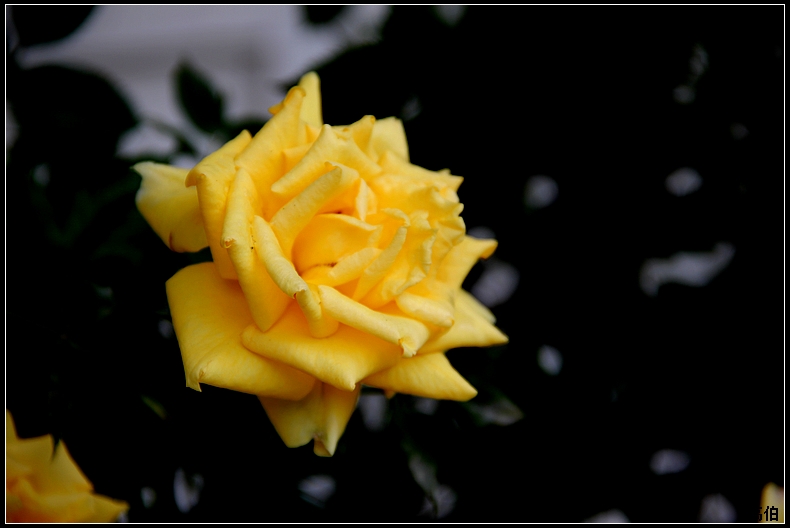 IMG_8559-9.jpg