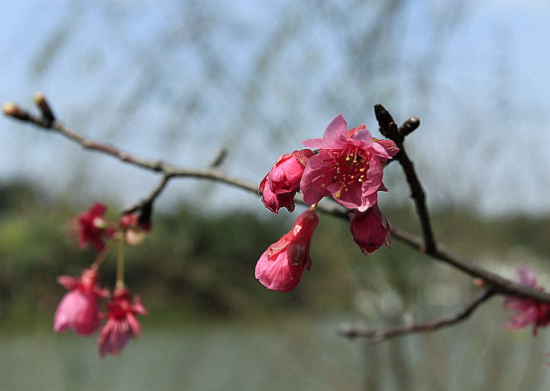 _MG_9159.JPG