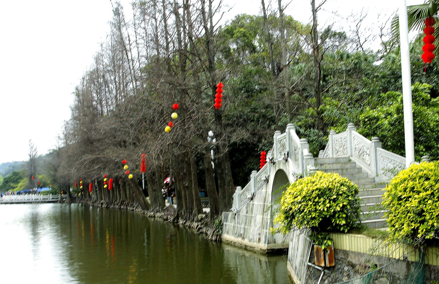 _MG_9473.JPG
