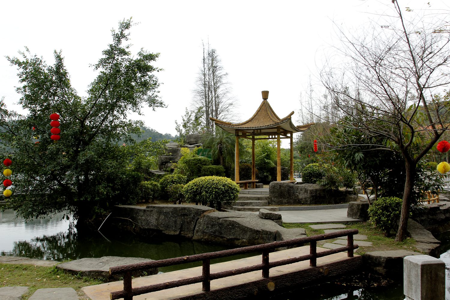_MG_9470.JPG