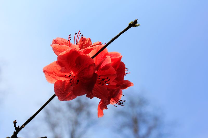 _MG_9369.jpg