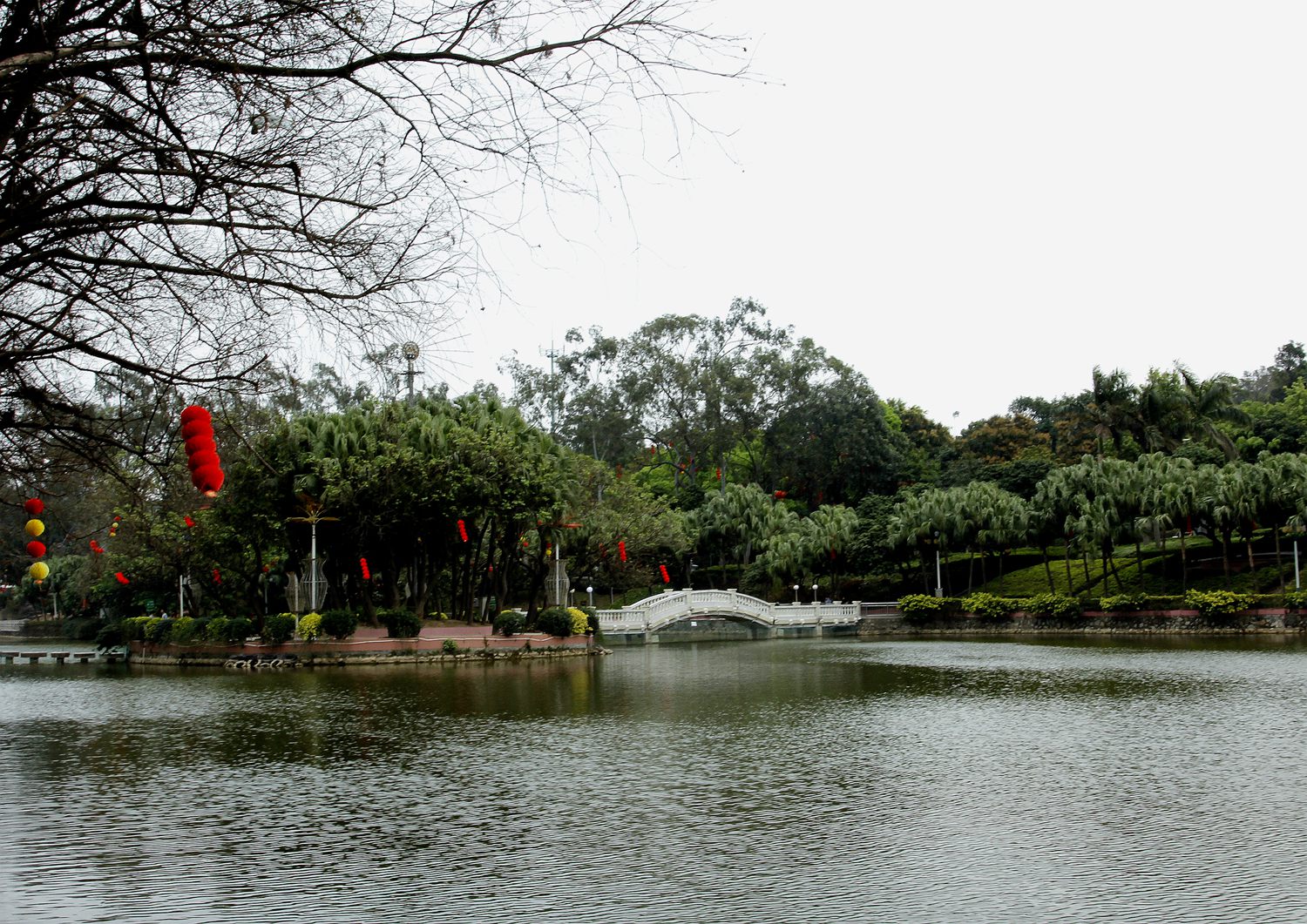 _MG_9471.JPG