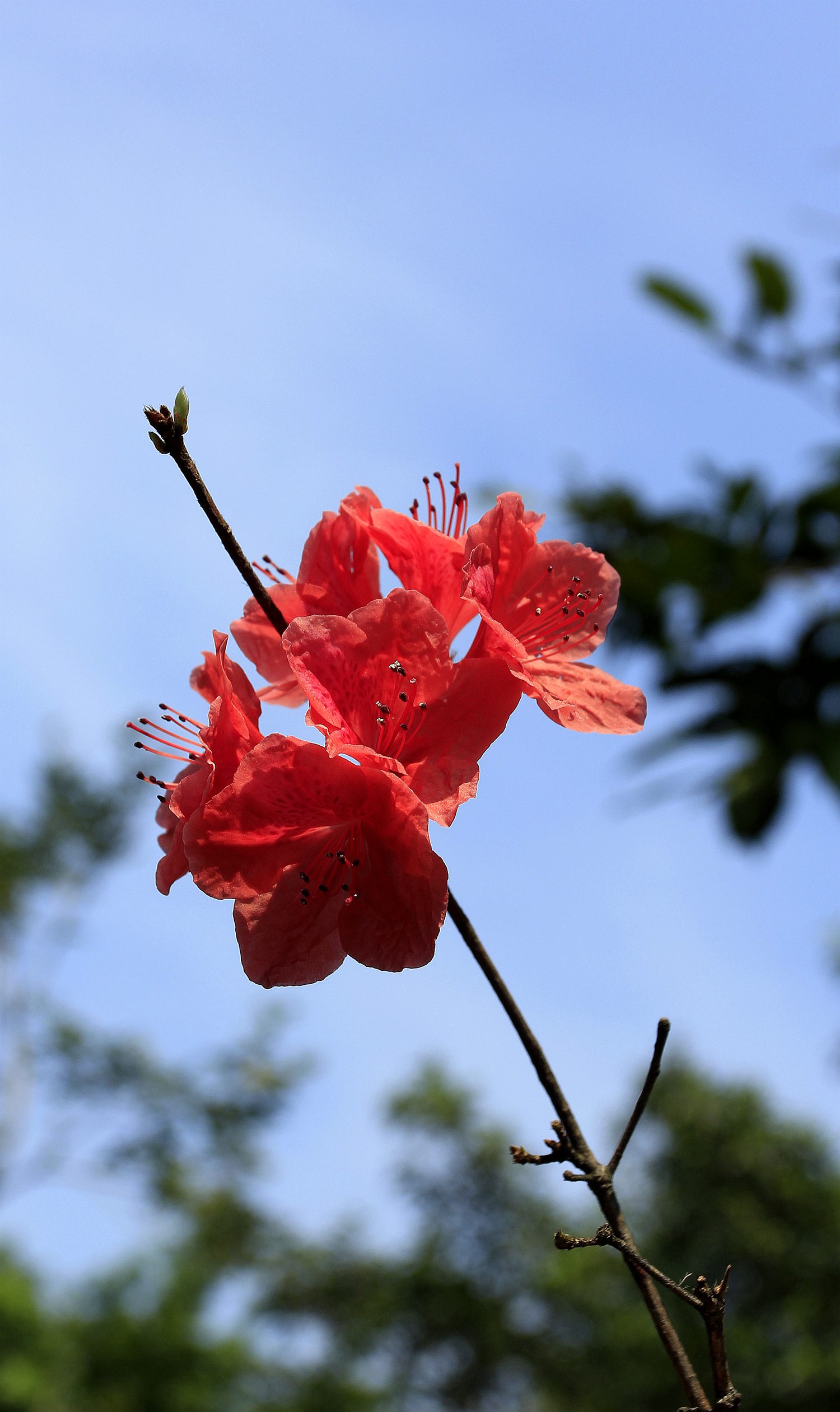 _MG_9367.JPG