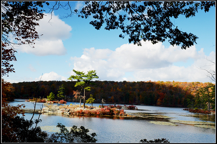 DSC_2349.JPG