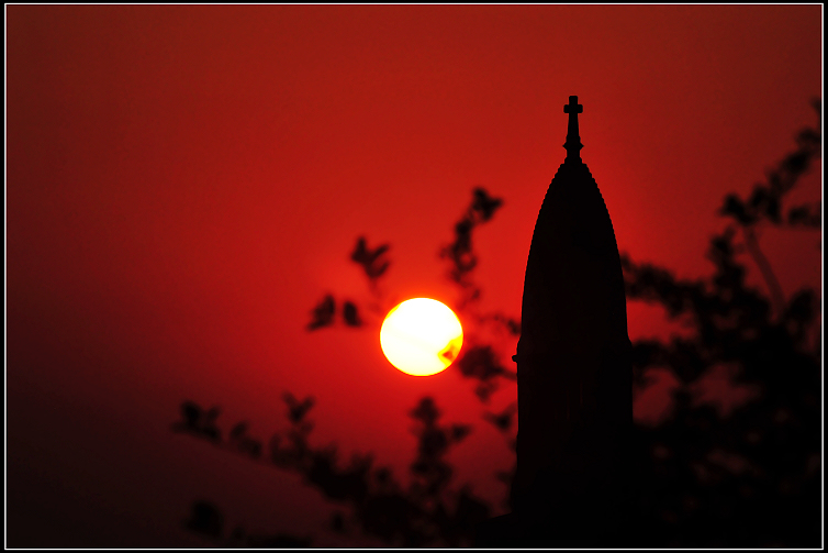 DSC_9203.JPG