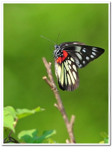 ��Ƭ 0431.jpg
