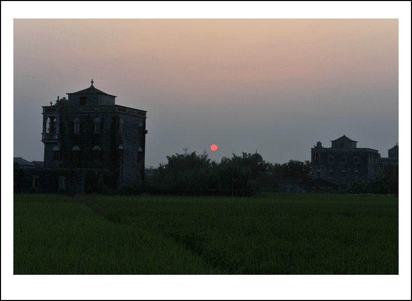 DSC_1114_conew1.jpg