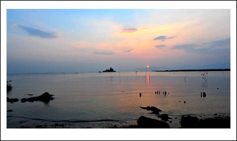 DSC_1515_conew1.jpg