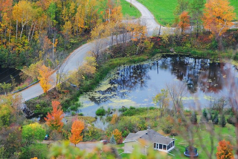 DSC_0053.JPG