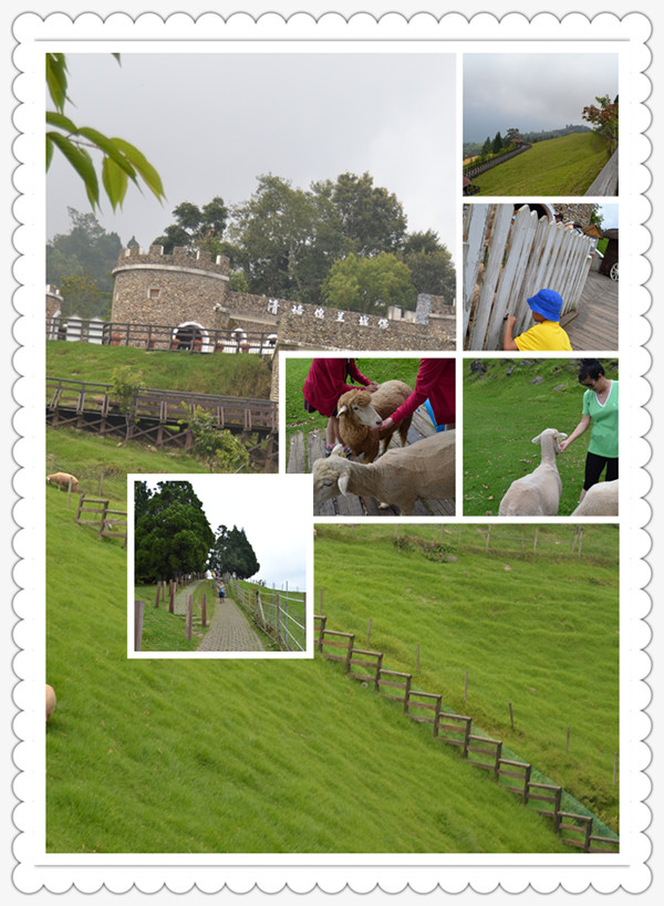 0000000-linglong .jpg