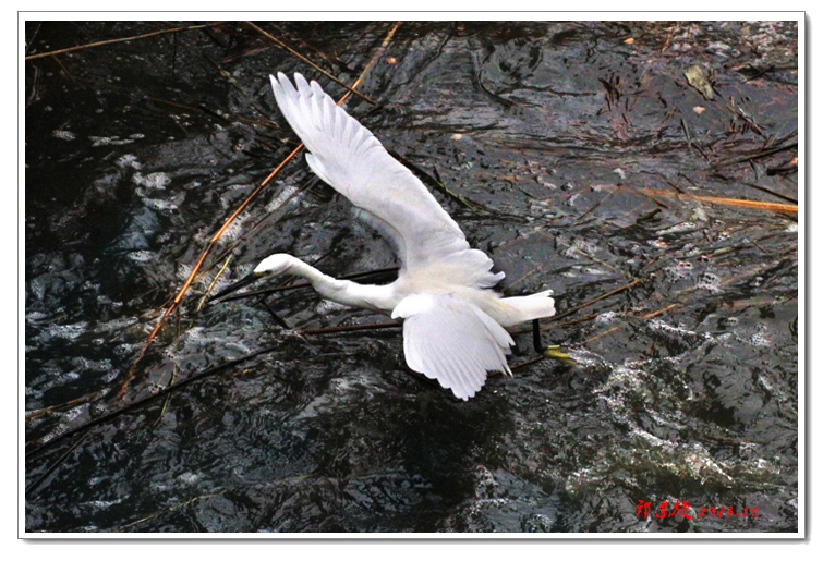 ����Ұ��B05.jpg