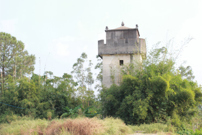 Canon&#39;s T2i 1156.JPG