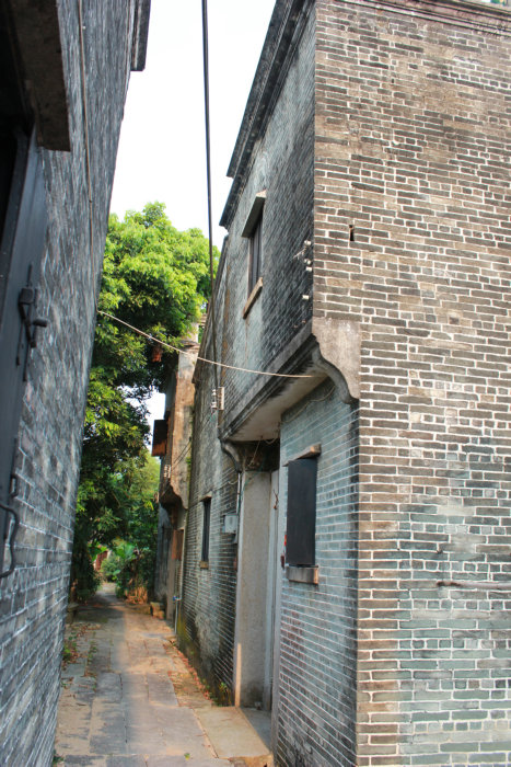 Canon&#39;s T2i 1176.JPG