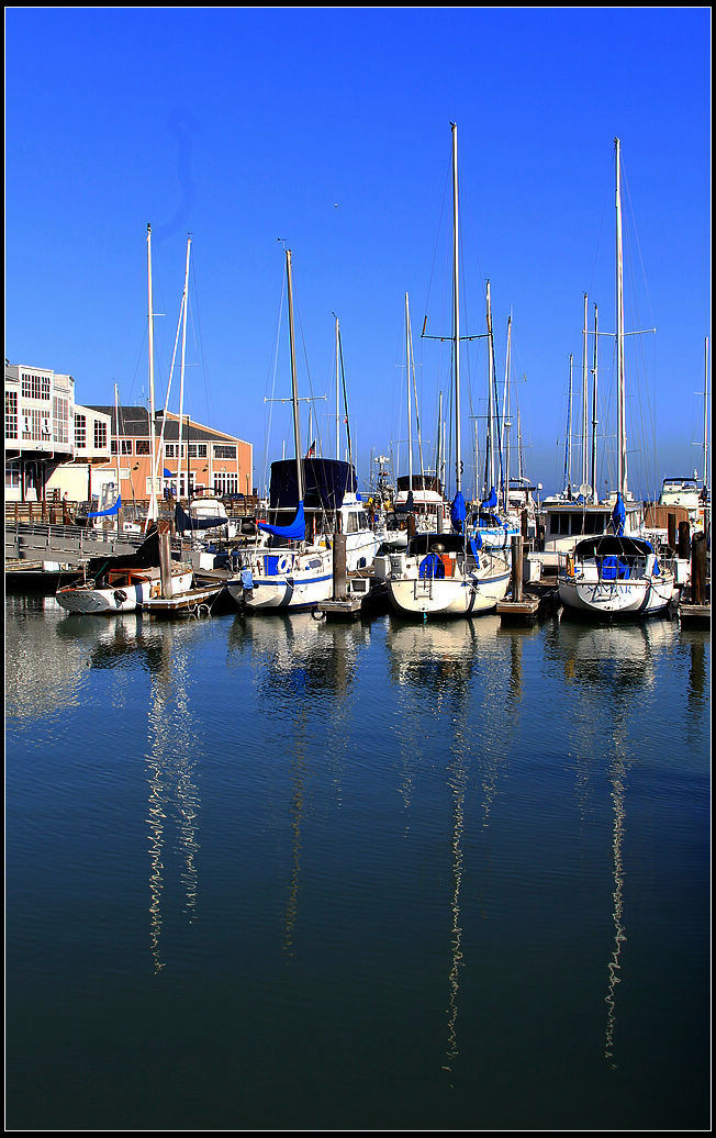 IMG_8765.jpg
