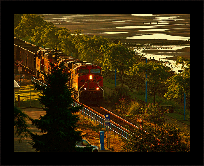 fDSD_8450..gif