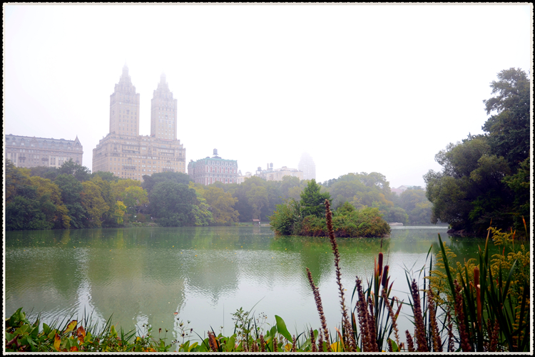 DSC_0575.jpg