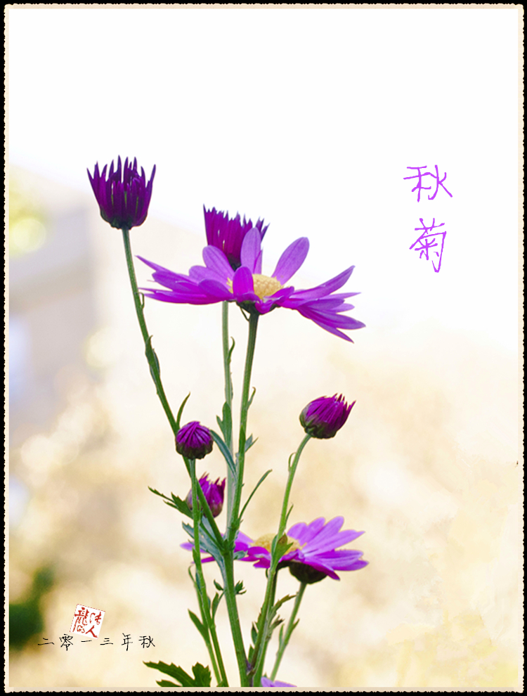 DSC_0948_����.jpg