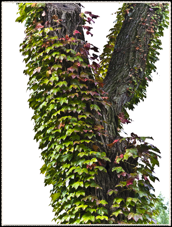 DSC_0054.jpg