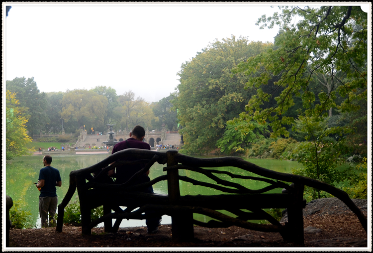 DSC_0565.jpg