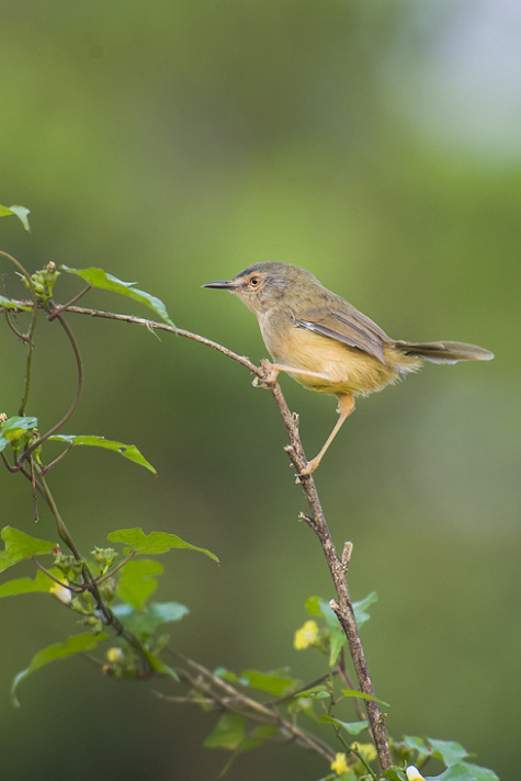 DSC_1389.jpg