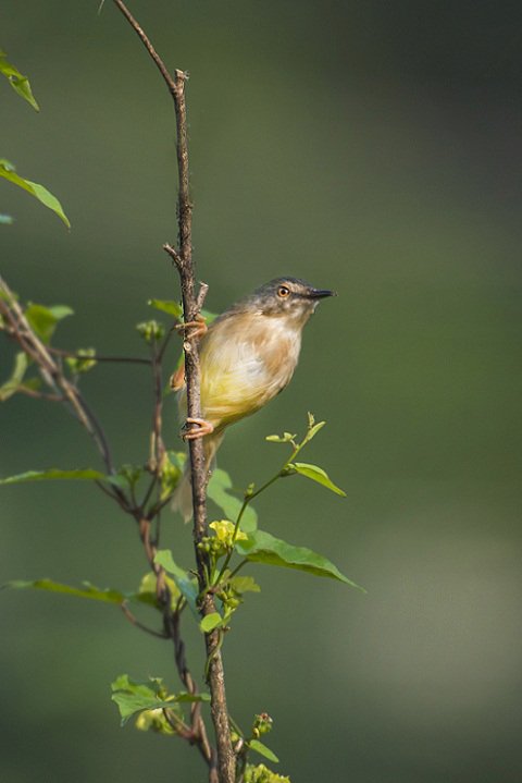 DSC_9059.jpg