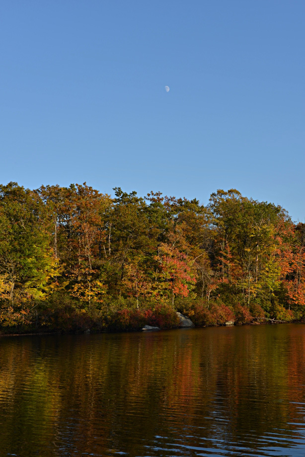 DSC_6610_HZPasen.jpg