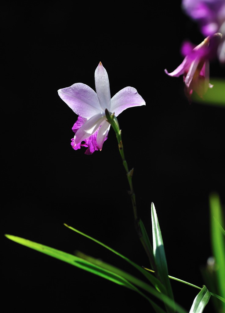 DSC_9437.jpg