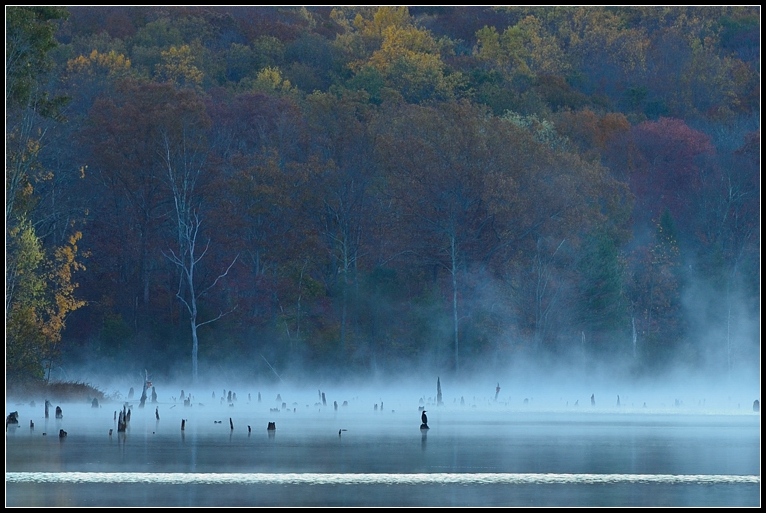 DSC_0421.jpg
