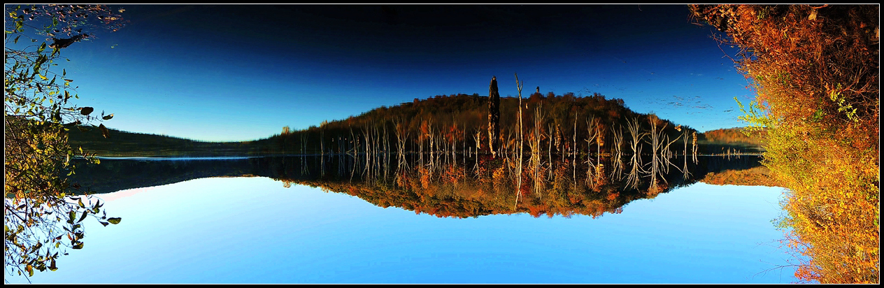 DSCN1363_����.jpg
